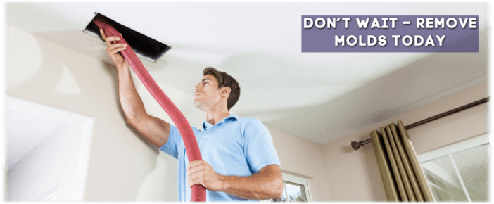 Air Duct Mold Removal in Hyattsville