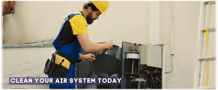 HVAC Mold Removal Hyattsville